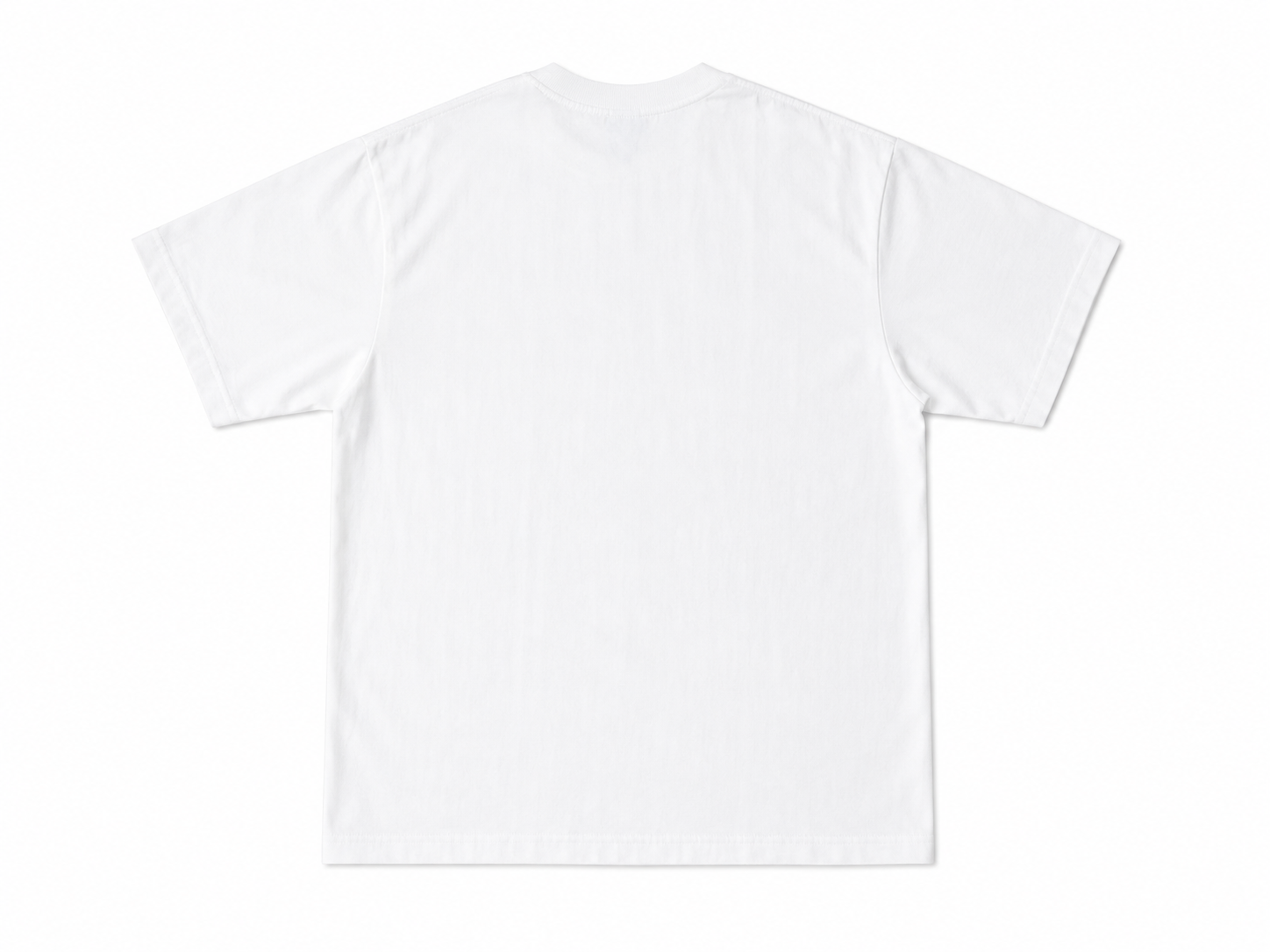 BAEZ CHAMPIONS T SHIRT